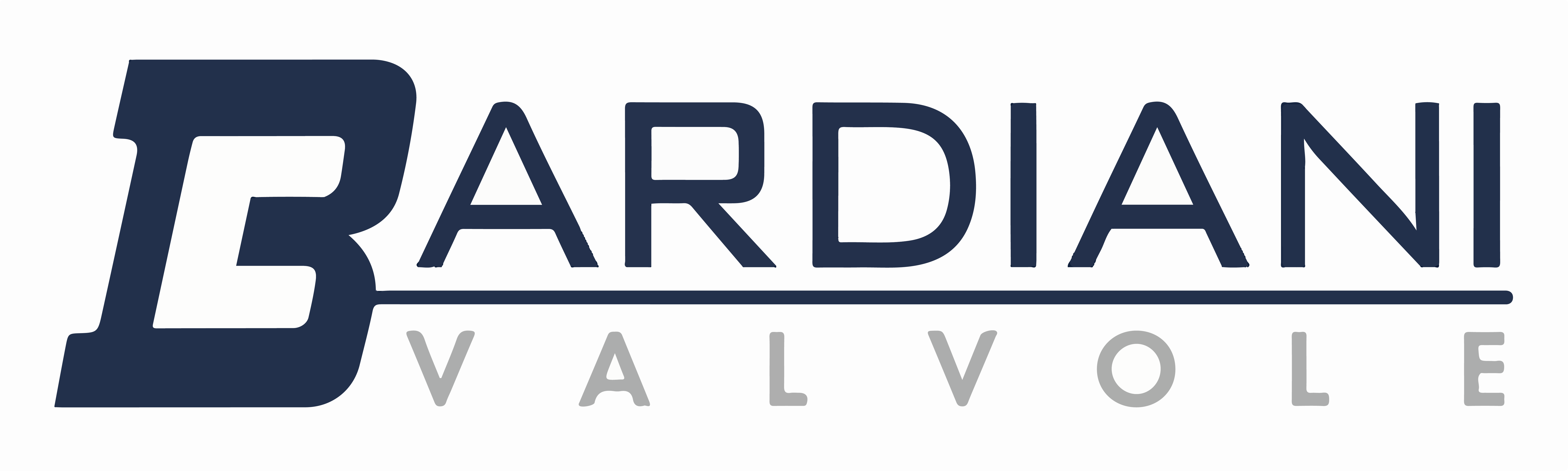 BARDIANI VALVOLE